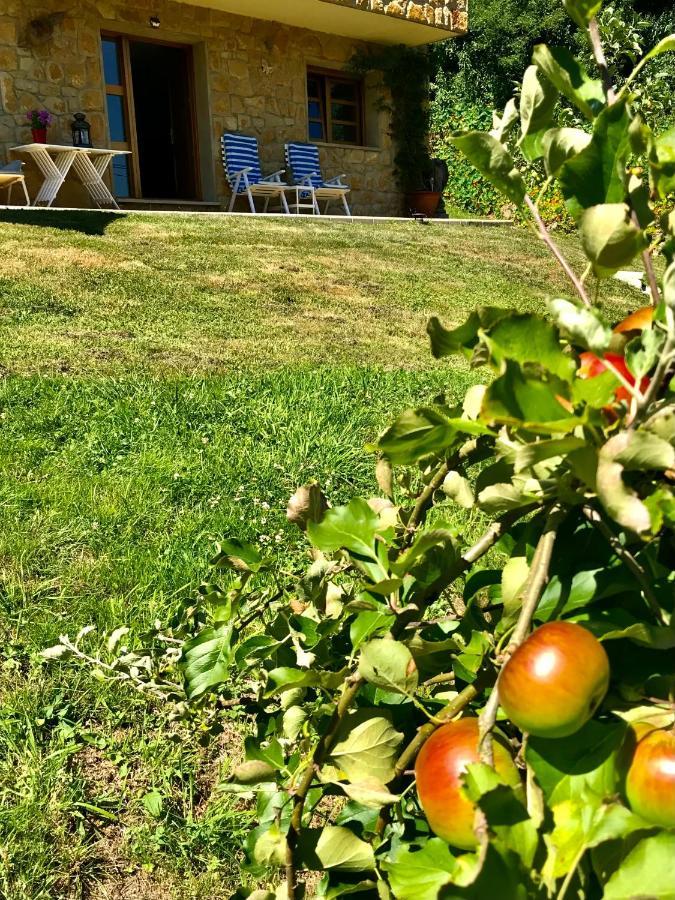 Loft 80 mts en un entorno natural. Mieres  Exterior foto